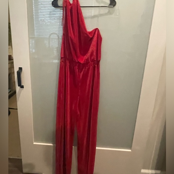 NEW Raspberry Jumpsuit - Picture 4 of 8